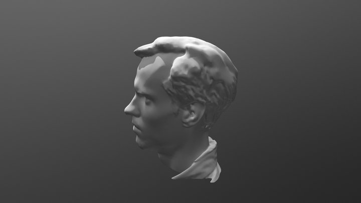 Adam Hlava (Cut 1) 3D Model
