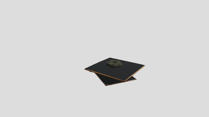 test 3D Model