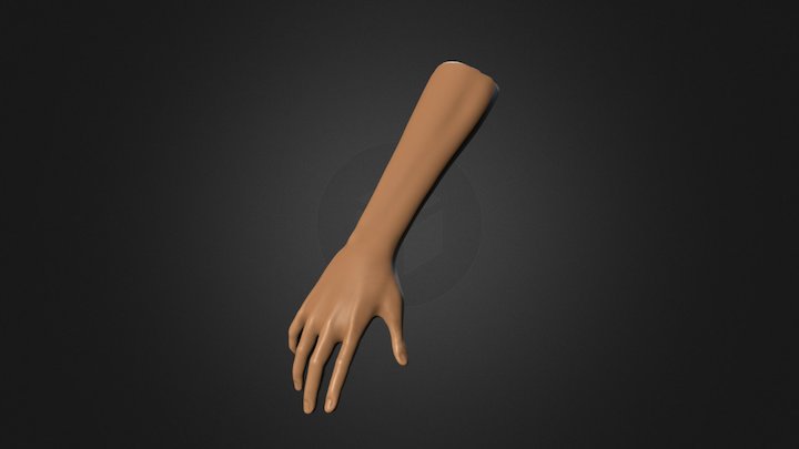 Textured Arm and Hand Drawing Reference Pose 01 3D Model