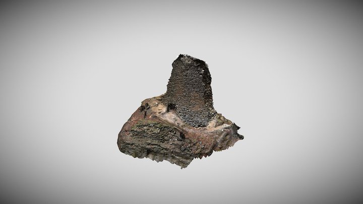 Hrad Blansek - Z zeď nad příkopem zadního hradu 3D Model