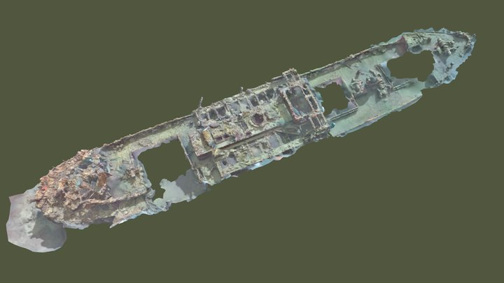 Helmet wreck, Palau 3D Model