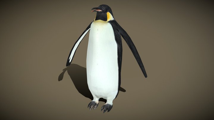 3DRT - wild animals - penguin 3D Model