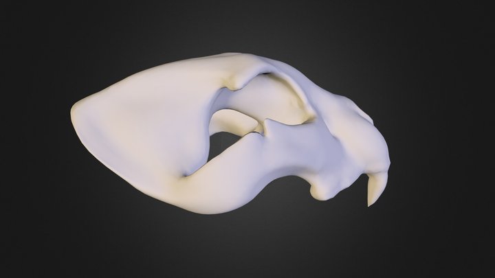 Skeleton.OBJ 3D Model