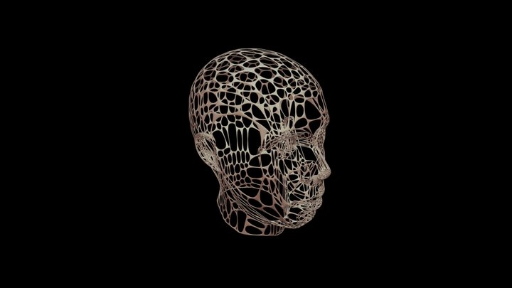 Head Sculpt #3 3D Model