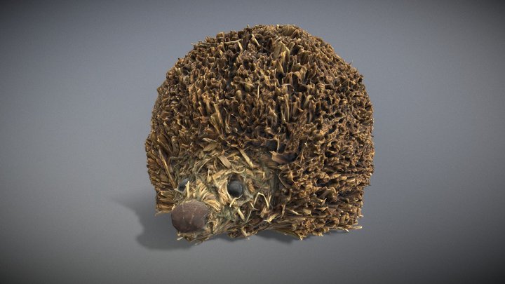 Herbal Hedgehog 3D Model