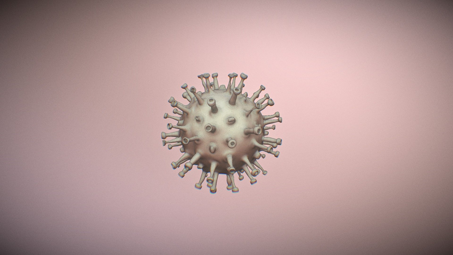 Corona- Virus