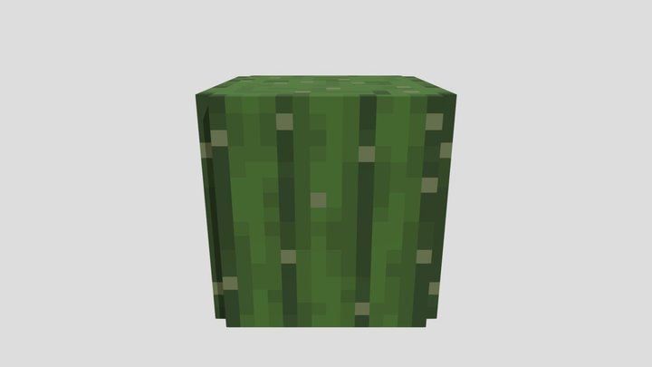 Minecraft cactus 3D Model