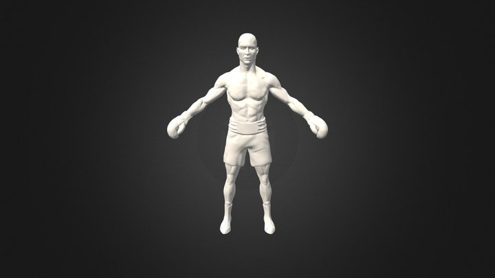 Bwinji_Capstone_Boxer01 WIP 3D Model