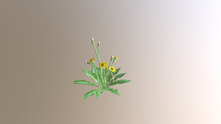 Dandelion 3D Model