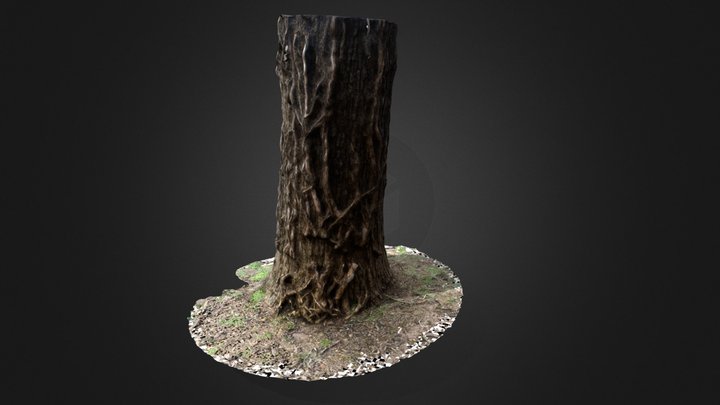 Tree_2 3D Model