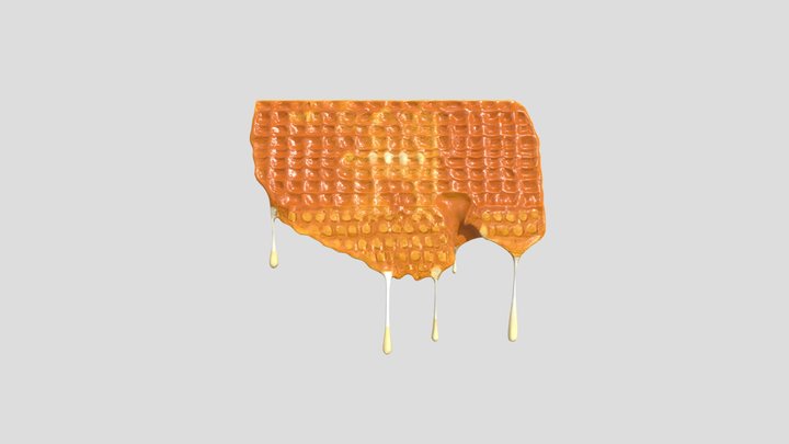 Honeycomb with dripping honey 3D Model