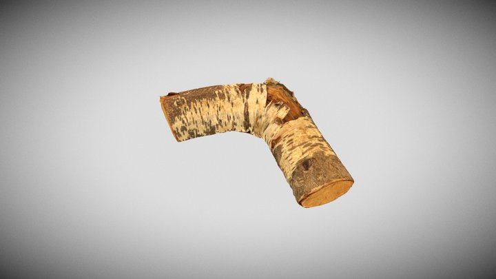 Tree Elbow 3D Model