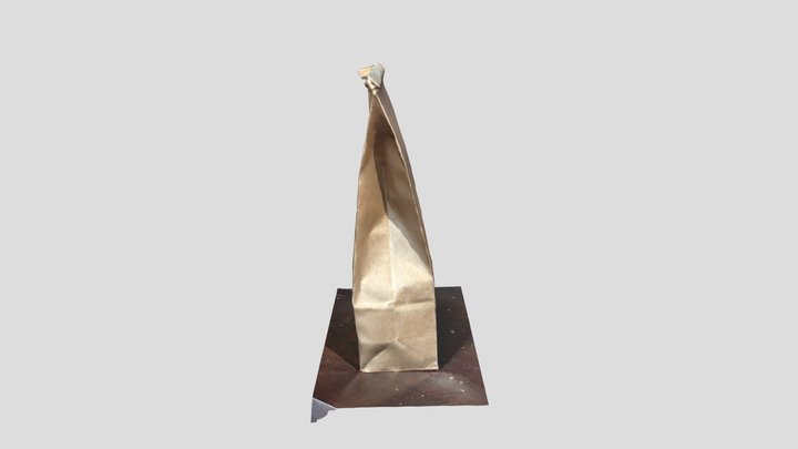 Paper Bag 3D Model