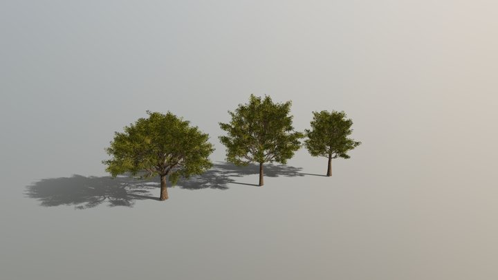 Tree_Model 3D Model