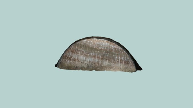 model 3D Model