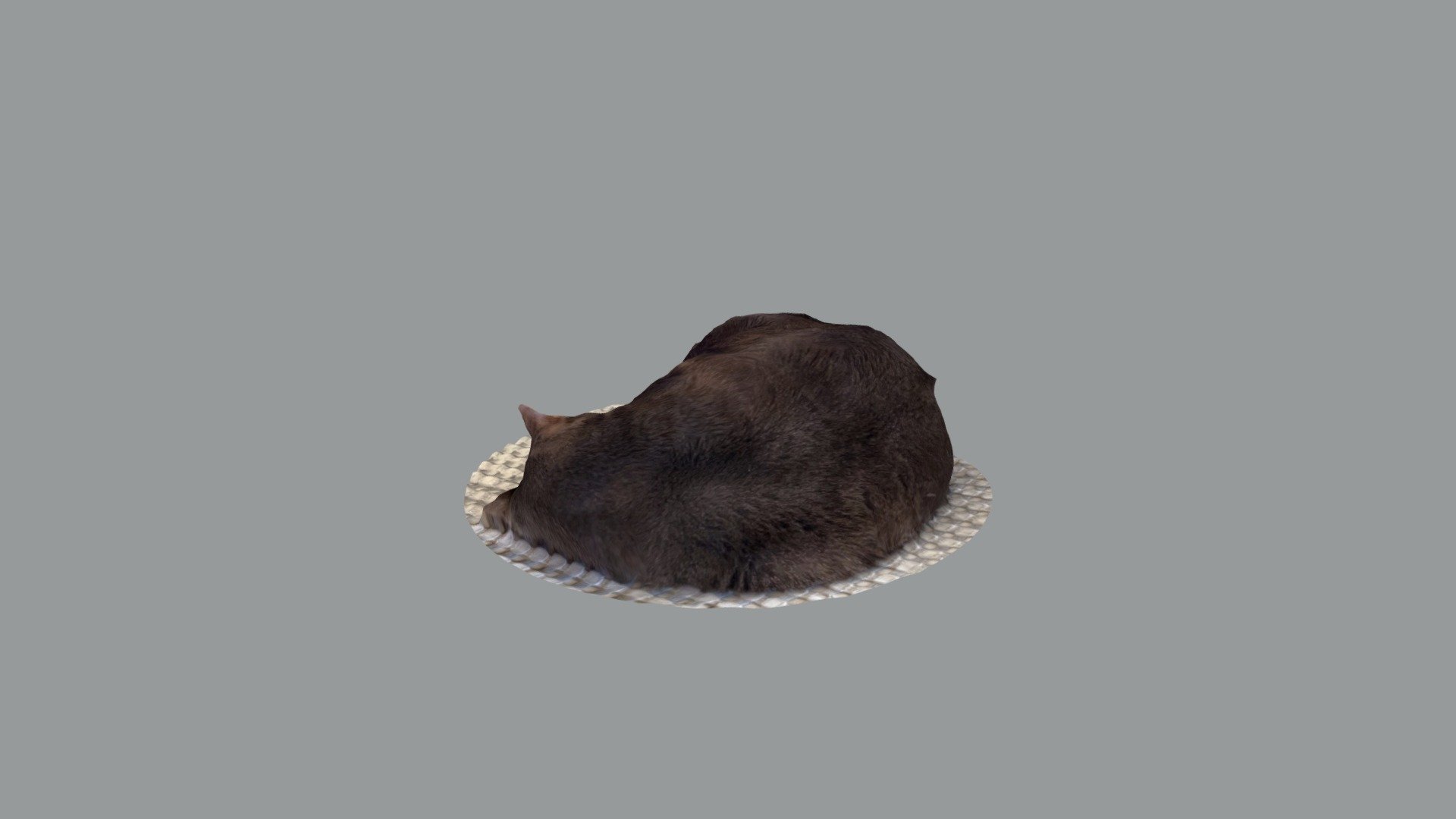 Schmalter