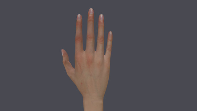 Hand 3D Model