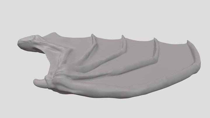Dragon Wing 3D Model