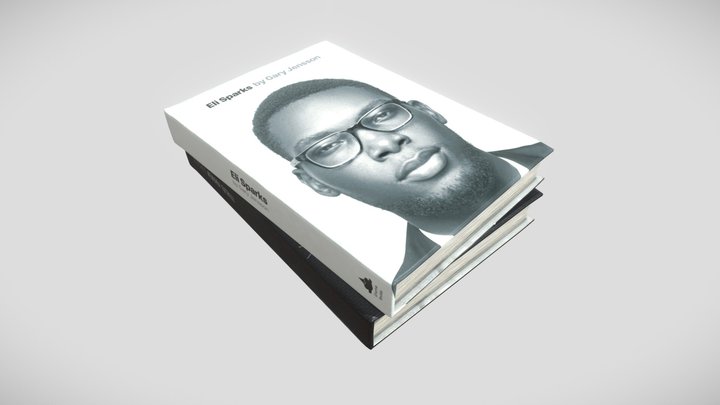 Coffee Table Books 3D Model