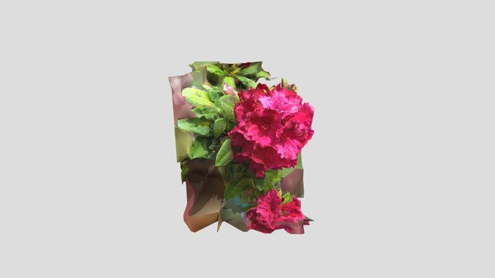 Rhododendron 4 RealityScan with mask – Modèle 3D gratuit STL
