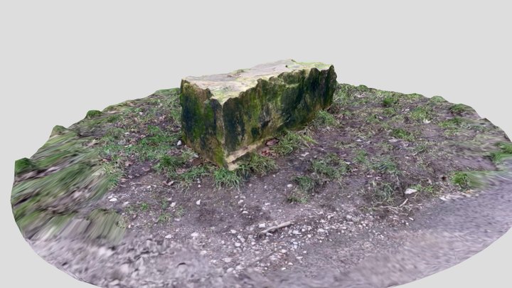 Rock (v) 3D Model