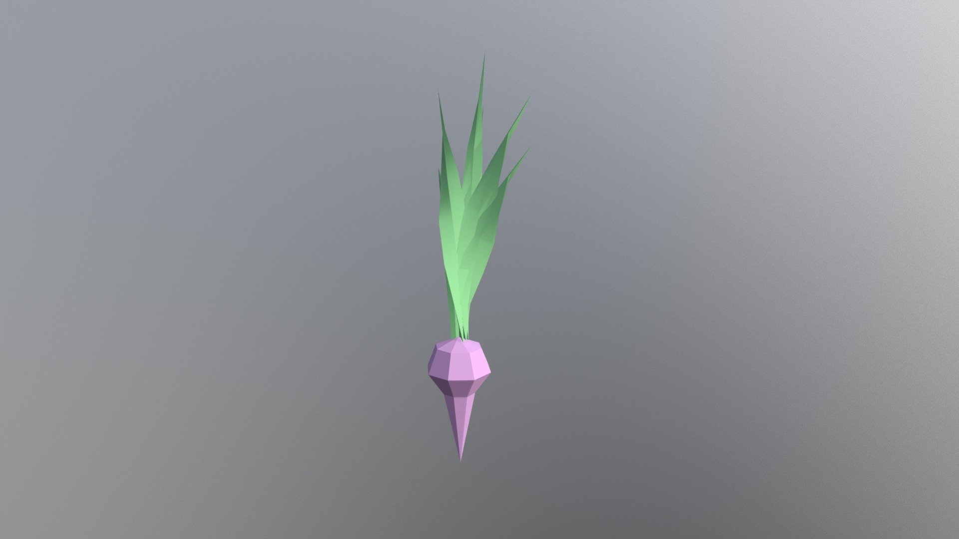 Radish