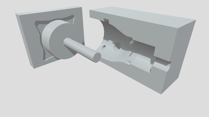coquille 3D Model