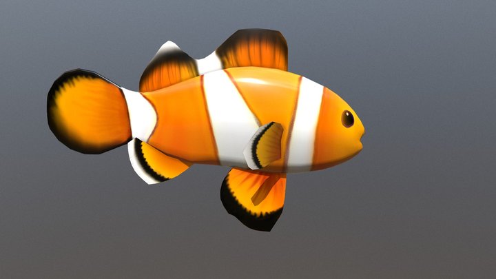Fish3 3D Model