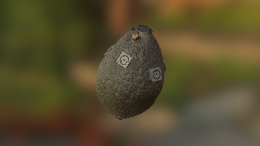 Avocado