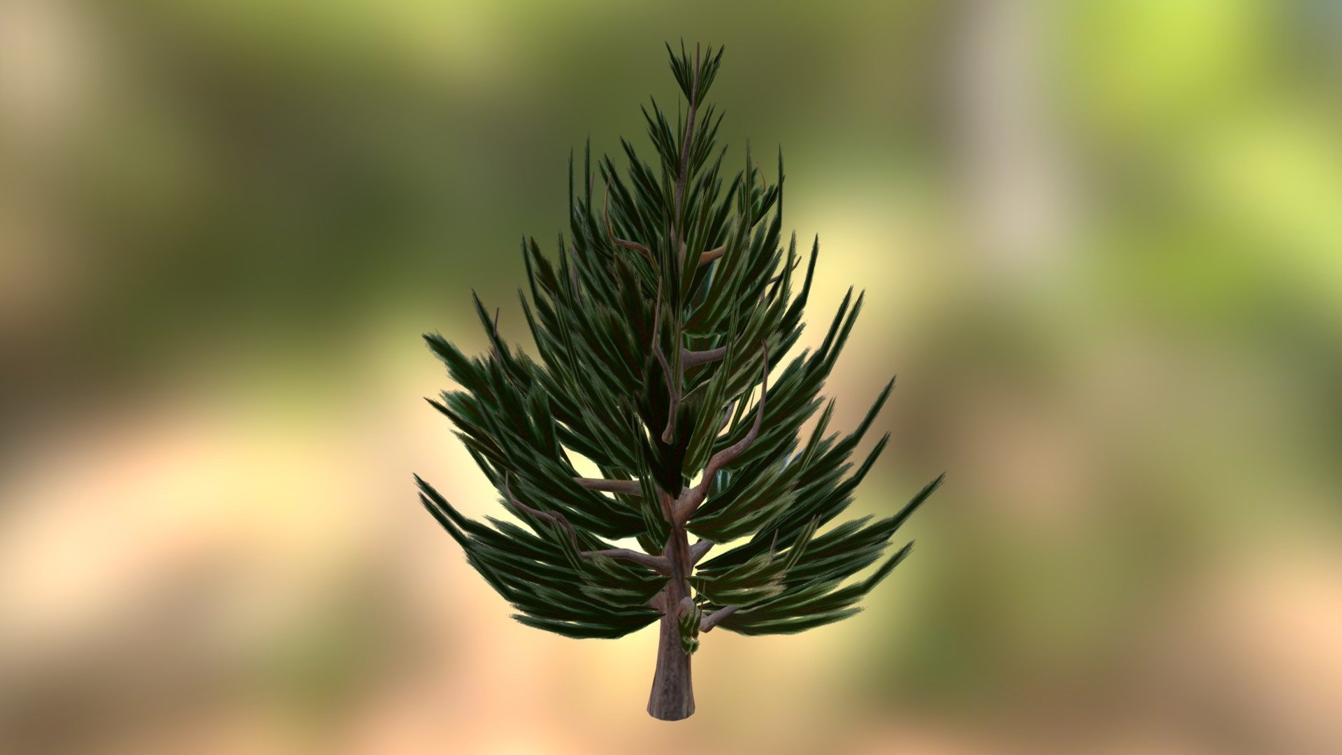 Fir Tree 1 - 3D model by cubedreality [8ac12ca] - Sketchfab