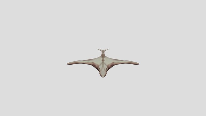 Huge Pterosaur Bird Thing Retopologized 3D Model
