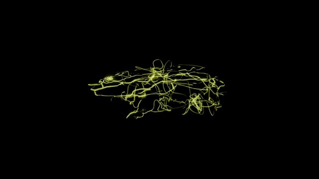 WS1.2 3D Model