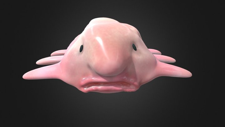 3D model Blobfish Realistic Animated VR / AR / low-poly