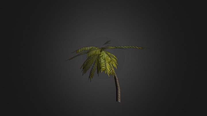 Palm tree LOD 3D Model