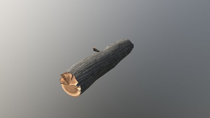 Dead Trunk 3D Model
