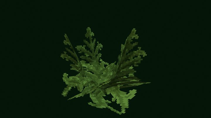 Small Fern 3D Model