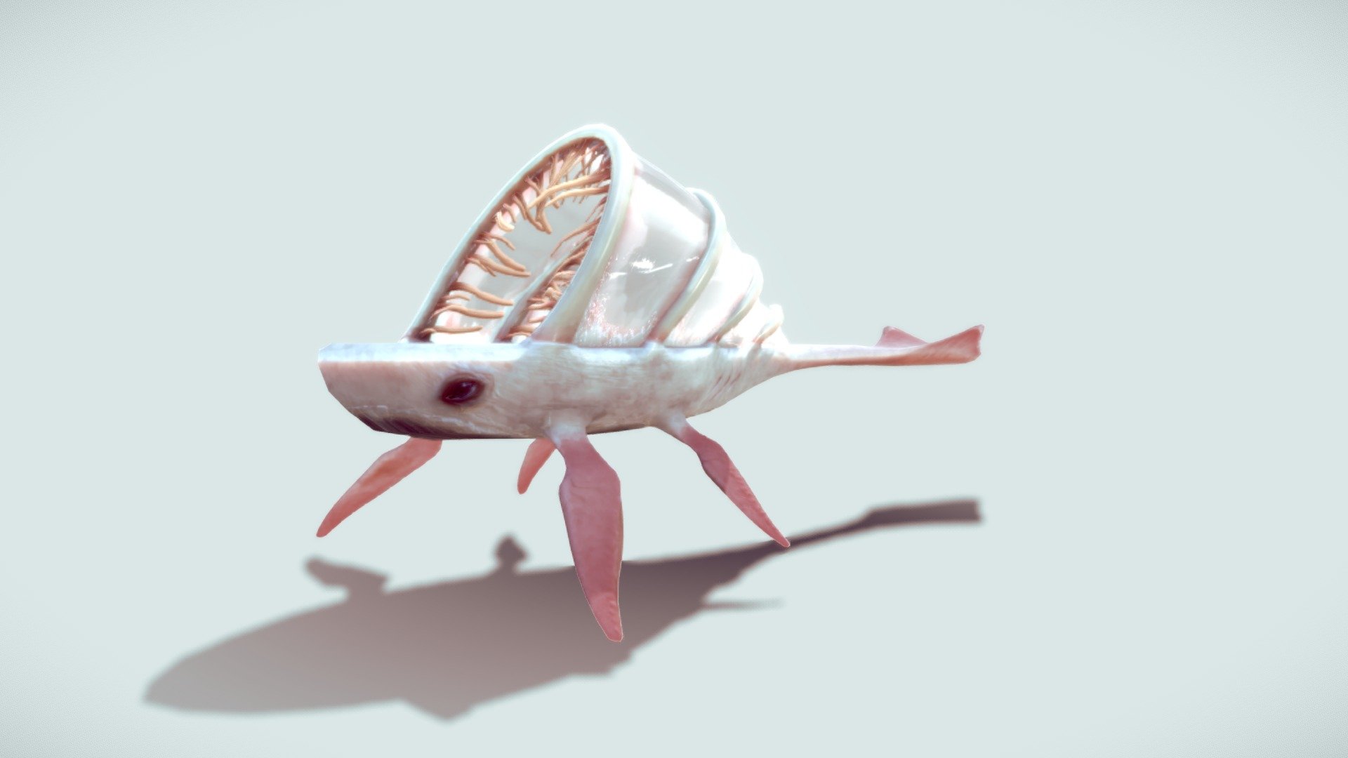Cloud whale
