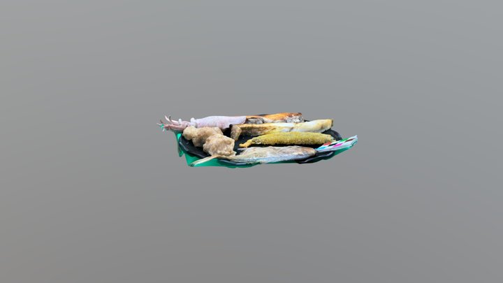 海鮮拼盤：煎白鯧、炸土魠魚、小管、土魠魚片、比目魚、炸柳葉魚 3D Model
