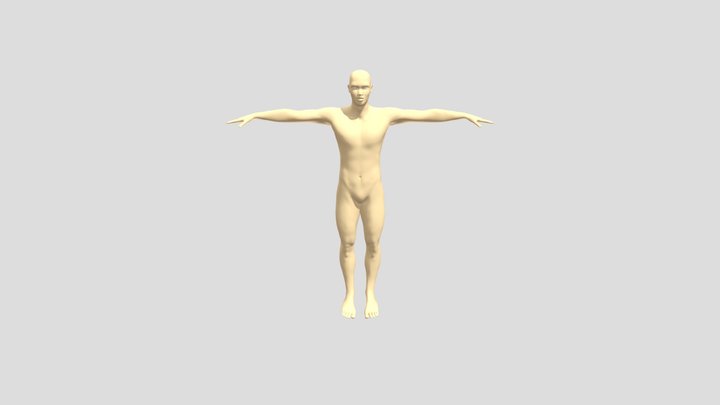 BenTretoplist 3D Model