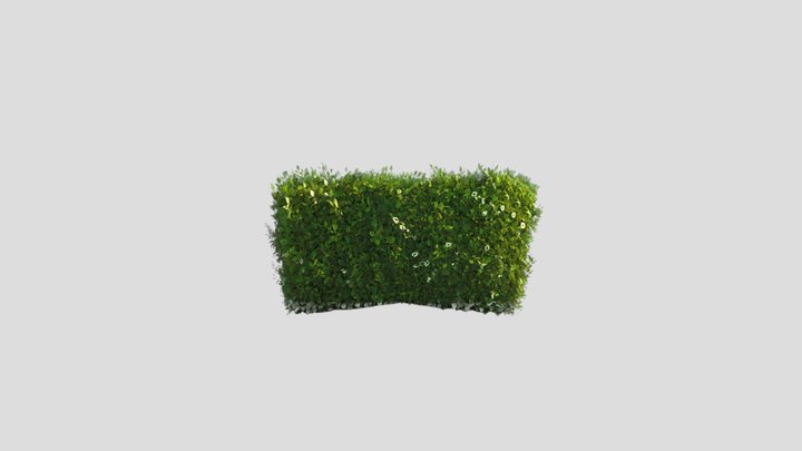 foliage03 3D Model