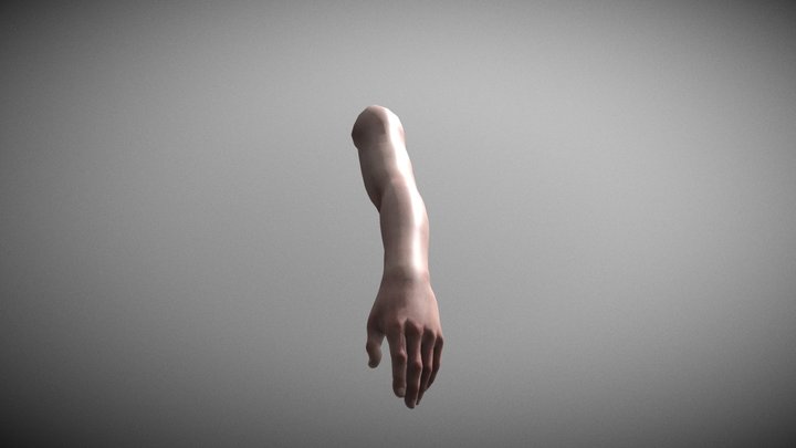 Hand 3D Model