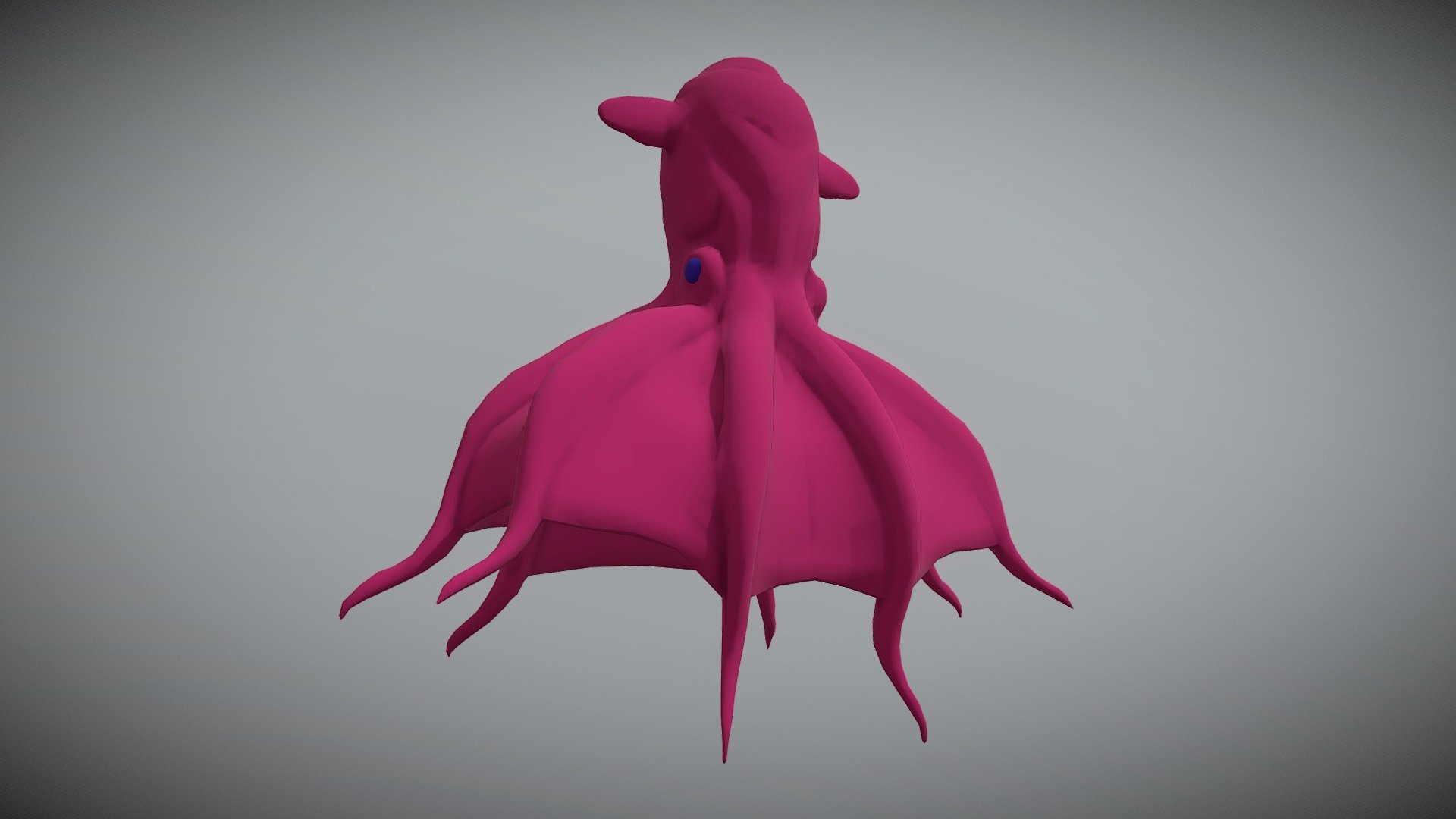 Squid