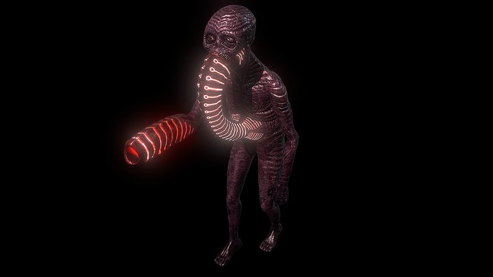 Numen Drone Rig