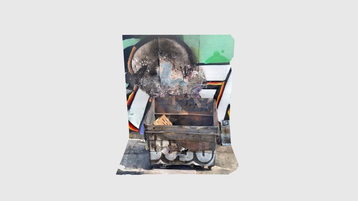 Los Angeles dumpster fire 3D Model
