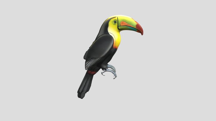 TAUCAN 3D Model