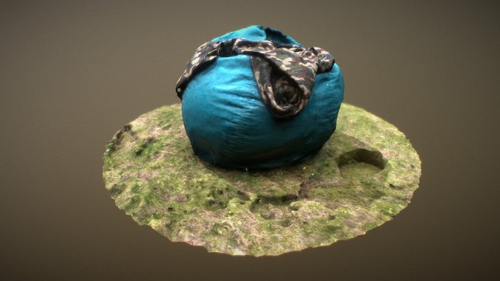 Turtle's Beanbag 3D Model