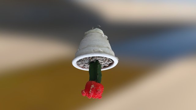 Kaktus 3D Model