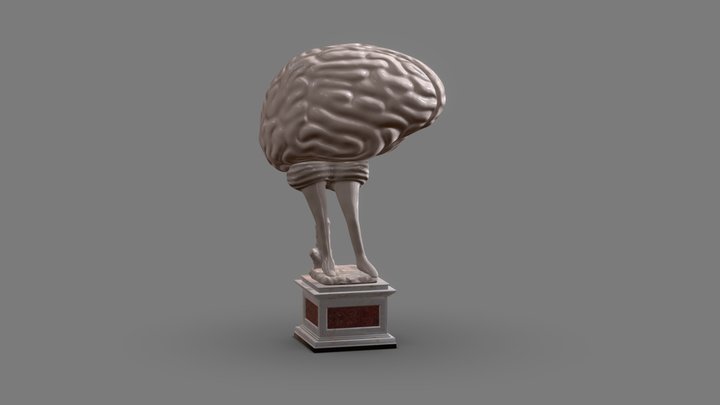 David the brain 3D Model