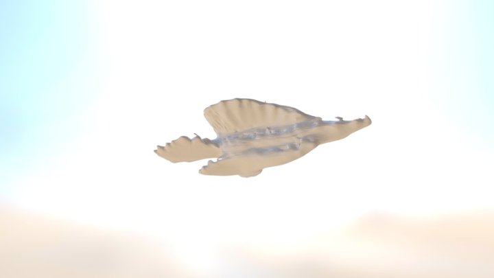 Polygnathus parapetus