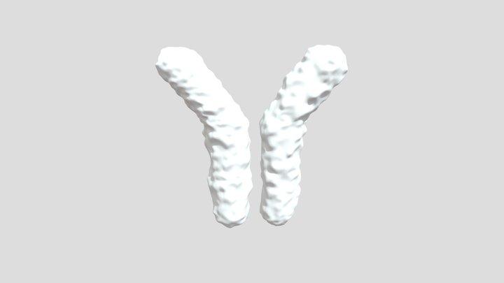 Human Antibody – Free 3D Model STL